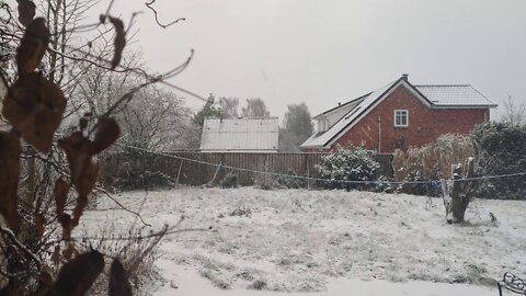 snowing calm nature