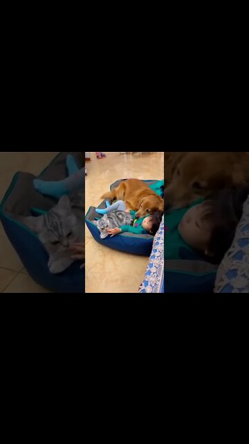 We're all friends ...