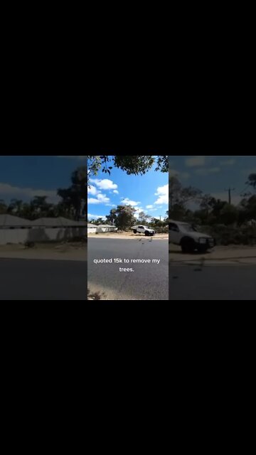 Uprooted 🪵🛻 #shorts #dashcam #treeremoval #funny