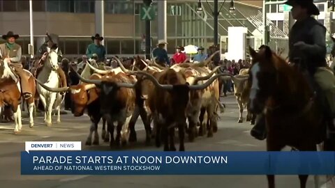 Stock Show parade starts at noon down 17th Street