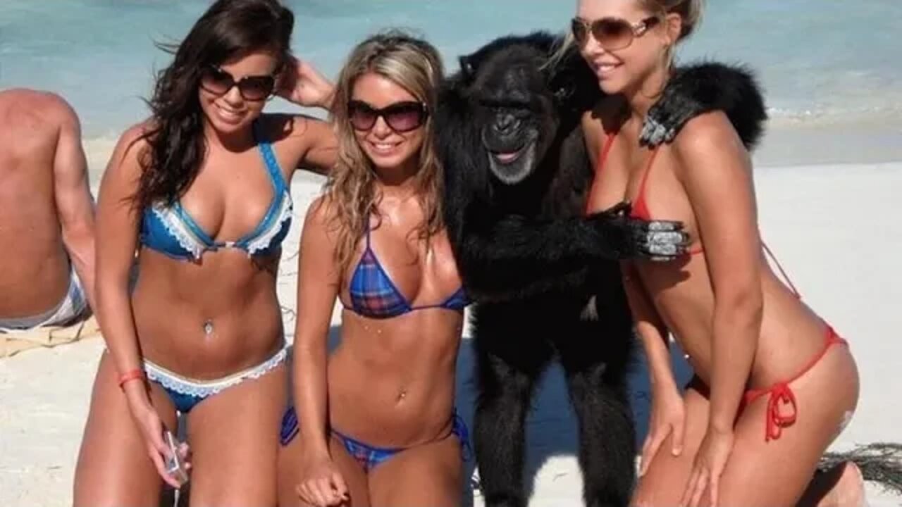 L8Night With E Honda!!!