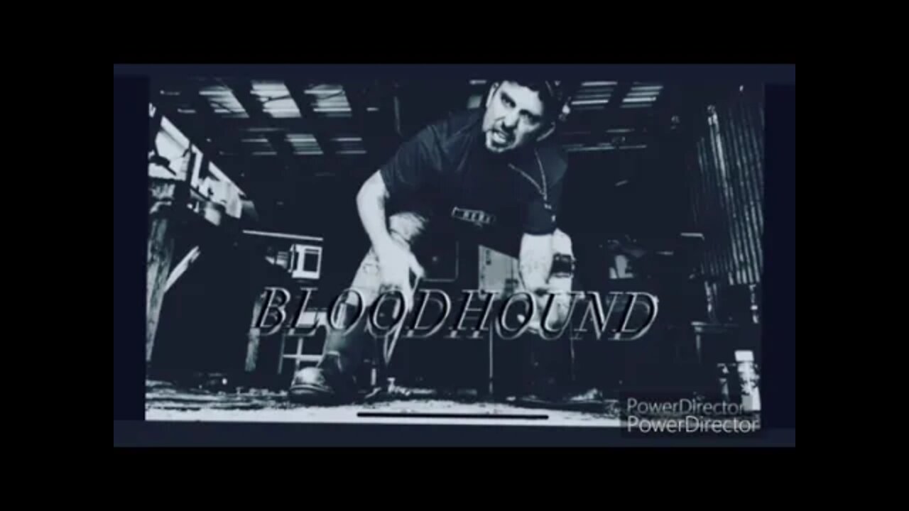 "Scrapping" - BloodHound - Ryan Woodcock