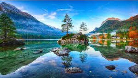 Relaxing Music, Relaxing Jungle Sound With Birds, Nature, Meditation & Stress Relief