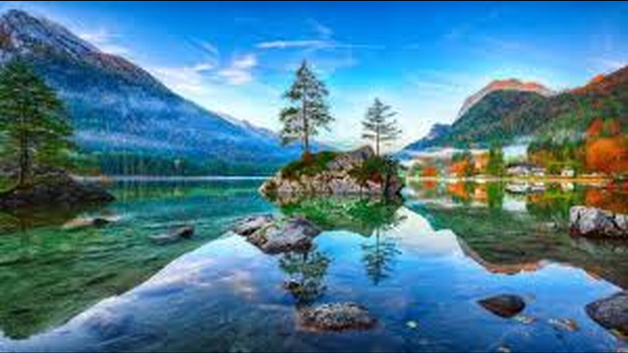 Relaxing Music, Relaxing Jungle Sound With Birds, Nature, Meditation & Stress Relief