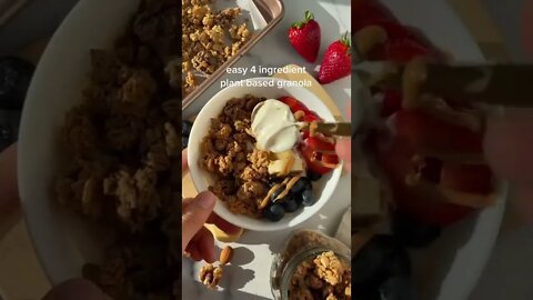 Easy 4 Ingredient Based Granola tiktok gabydimova