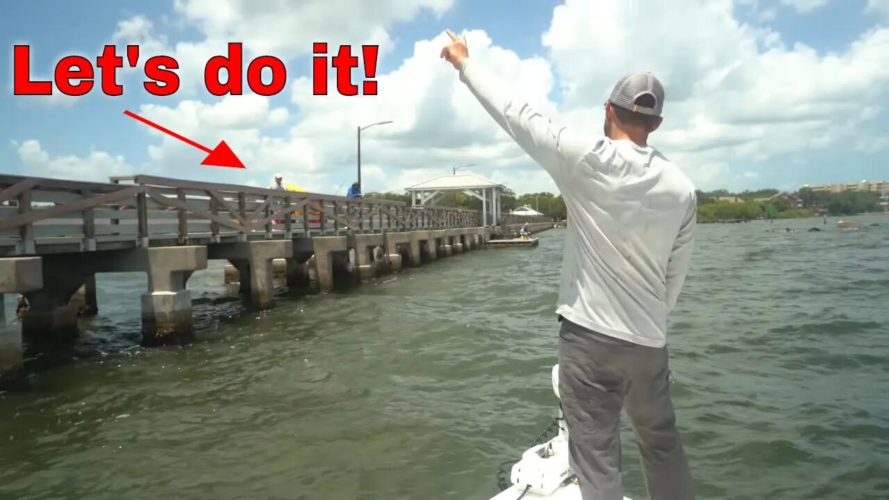 Pier Fisherman Catches FREE TAMPA BAY SNOOK FISHING TRIP!!