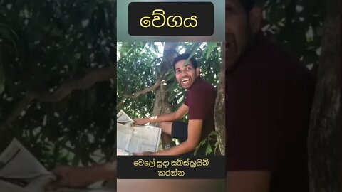 වේගය | Janai Priyai | Wele Suda #shorts #janaipriyai