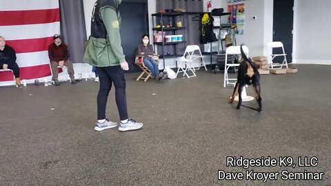 Dave Kroyer Seminar. Odor Work. Ridgeside K9, LLC