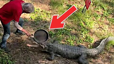 Wild moment man fights off mammoth charging croc with a frying pan