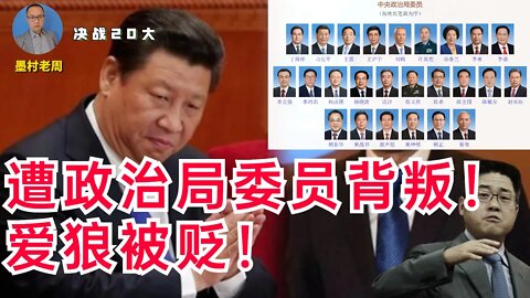 【决战20大】习近平遭政治局委员背叛，爱狼被贬！影射李克强的文章被全网删除！文斗转成武斗，后果会如何？