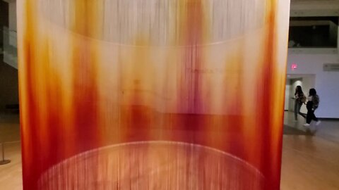 PHOENIX ART MUSEUM DEDICATED TO VITALOPTI