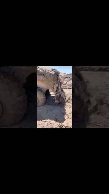 #shorts #2022 funny,prank,funjokes,dad jokes,funny memes,funny video,fun,laughing,funny animal,knock