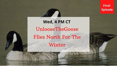 The Geese Fly North For the Winter: FINAL EPISODE