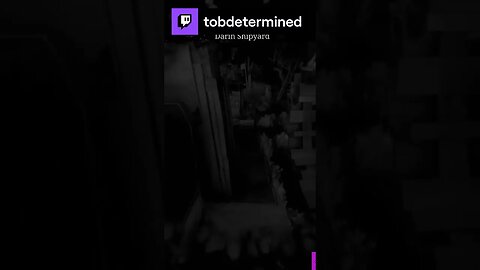 beetle kill | tobdetermined on #Twitch