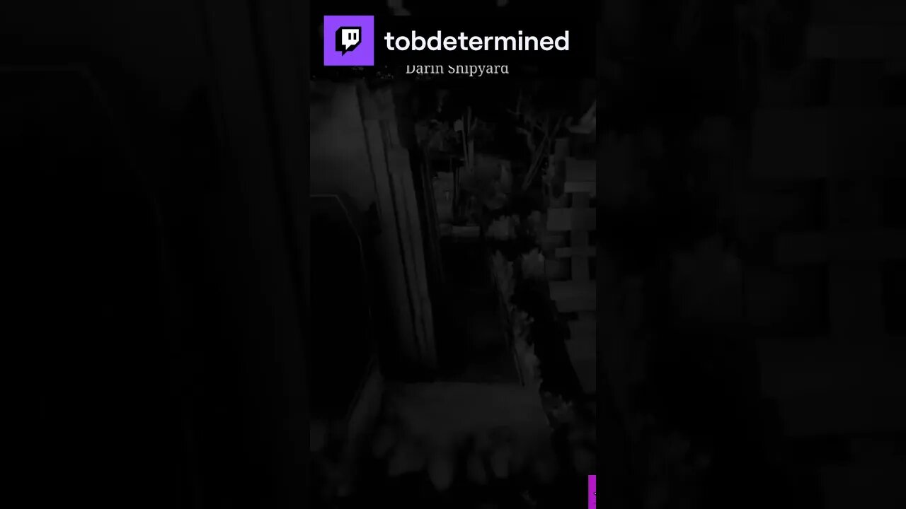 beetle kill | tobdetermined on #Twitch