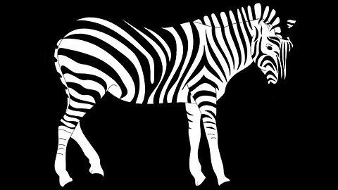 zebra crossing