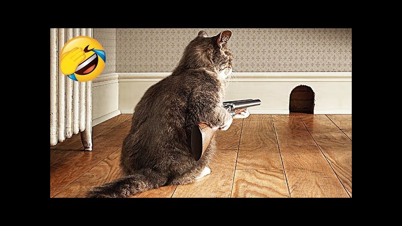 Best Funniest Videos 2023 Cute Cats and Funny Dogs