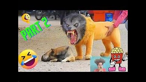 Troll Prank Dog Funny & fake Lion and Fake Tiger Prank To dog & Huge Box Prank to dog