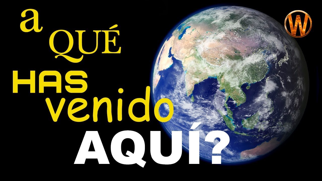 ¿A qué has venido aquí?