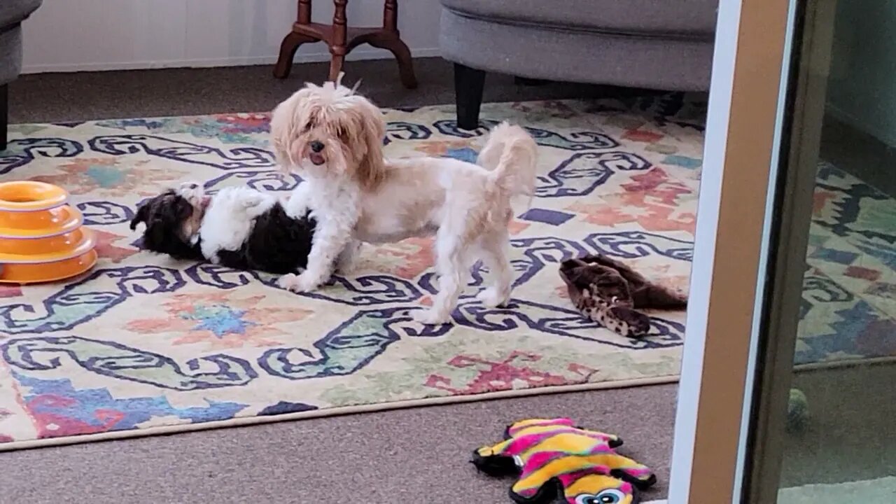 Kiki & Auntie Faith- part 2