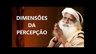 DIMENSÕES DA PERCEPÇÃO, SADHGURU, DUBLADO