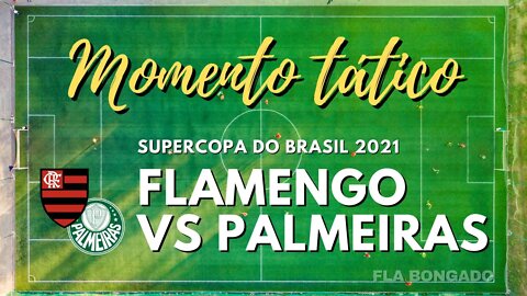 ANÁLISE PRÉ JOGO: FLAMENGO X PALMEIRAS| CANAL FLA BONGADO |