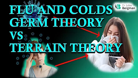 Flu and Colds Germ Theory vs Terrain Theory
