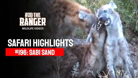Safari Highlights #196: 11 - 14 March 2013 | Sabi Sand Wildtuin | Latest Wildlife Sightings