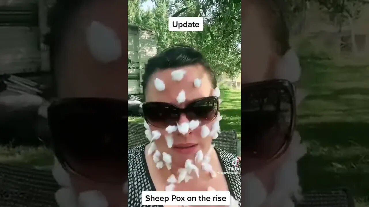 The sheep pox 🐑🦠🤡😂😂