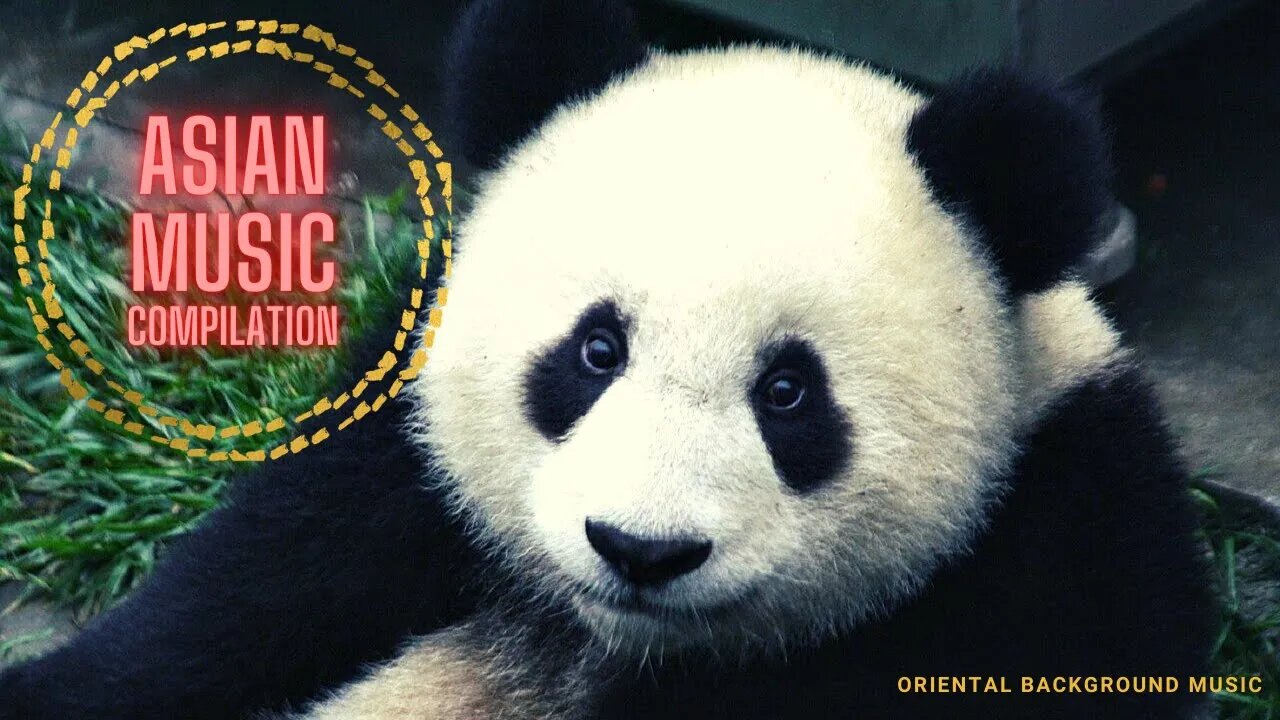 ASIAN Music 🐼 Compilation [no copyright music for vlogs] ORIENTAL Music Compilation JAPANESE Music