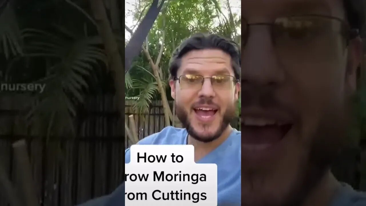 How to Grow Moringa From Cuttings