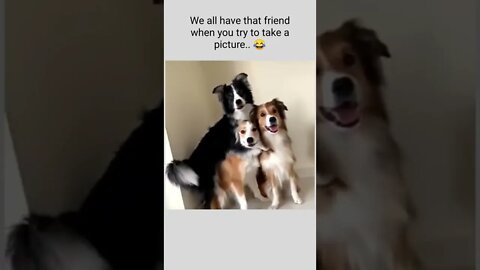 We all have that friend when you try to take a picture.. 😂