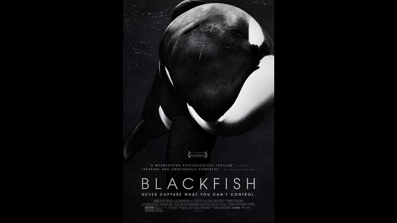 Blackfish