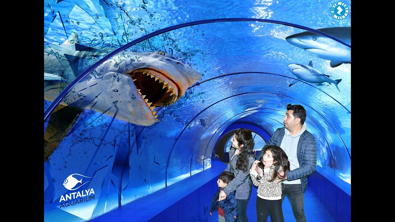 Antalya Aquarium! Miracle of the world! Peerless!