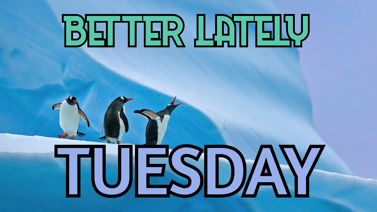 Better Lately - Tuesday