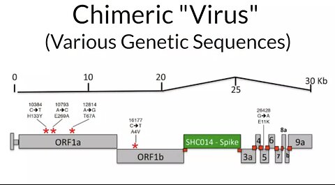 Why ALL viruses originate in laboratories