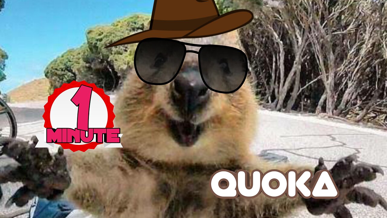 Quokkas: The Happiest Animals on the Internet