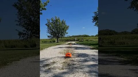 Discus Throw practice for Senior Olympics, decent , 133 feet