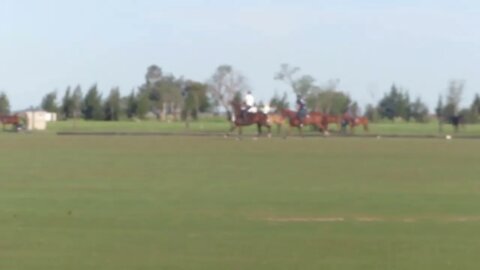 Argentina | Game of polo