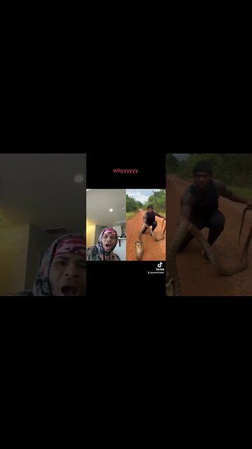 out here kissing snakes 🐍