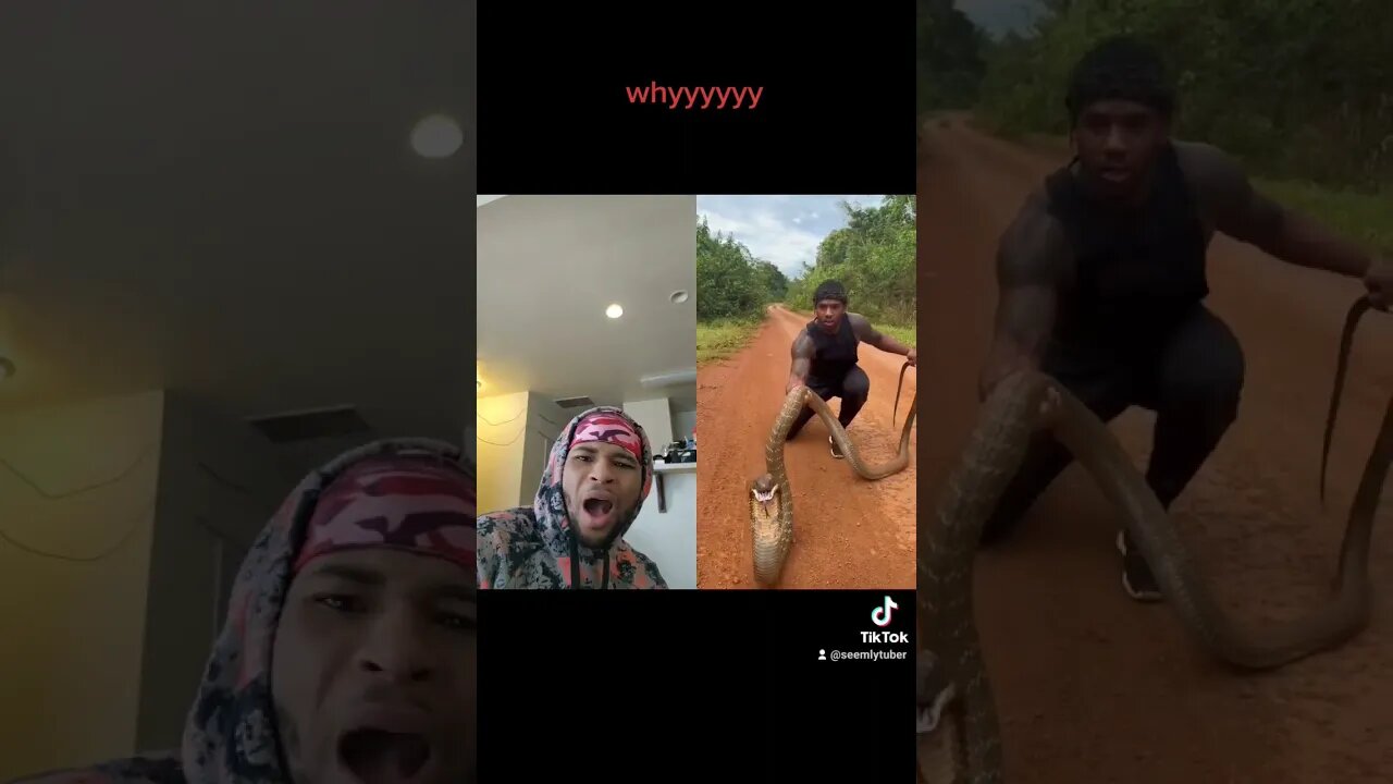 out here kissing snakes 🐍