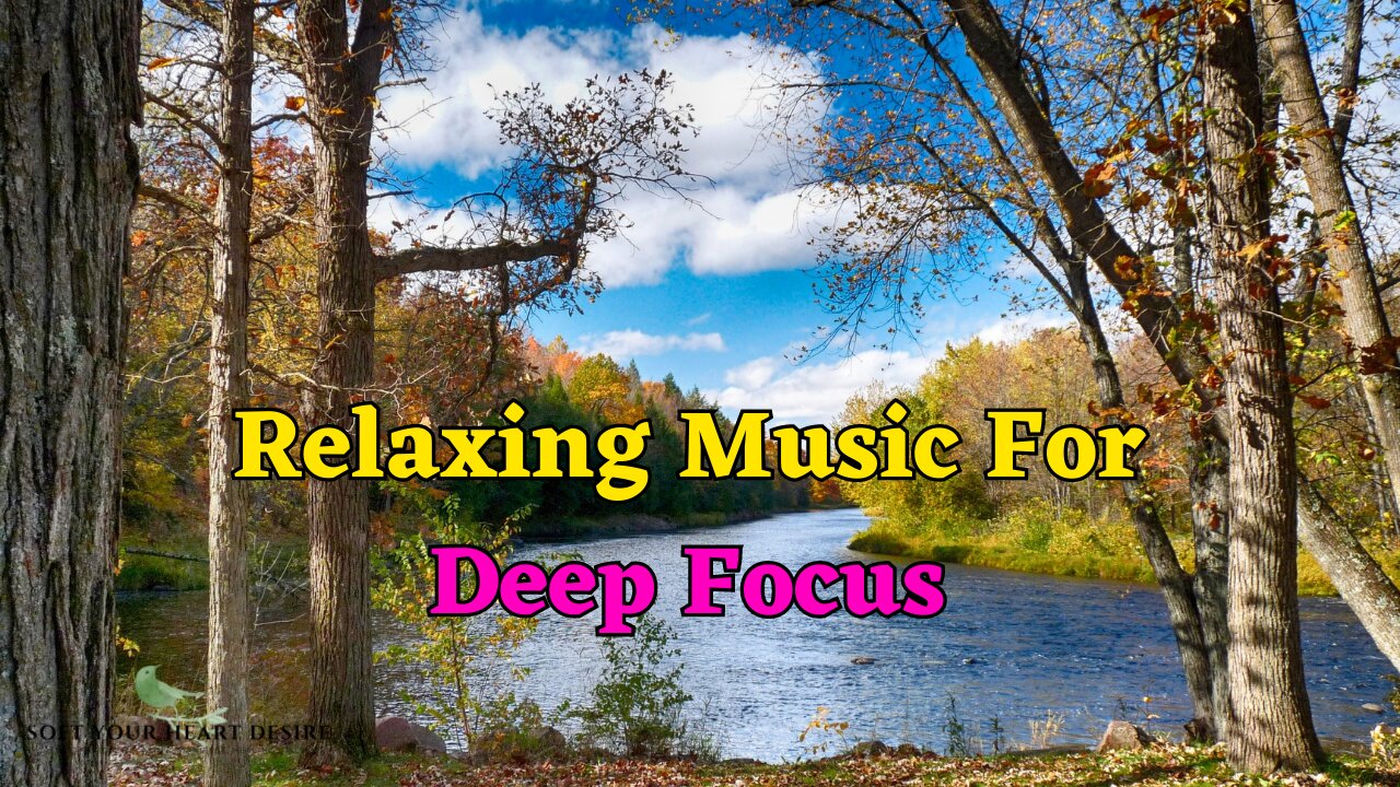 Relaxing Music for Deep Focus, Sleep and Meditation: 4K Short Videos - #shorts