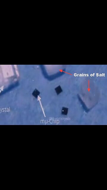 DARPA Smart Dust Powered by Wireless Radio Frequencies. Ingestible, Inhailable Nano Sensor