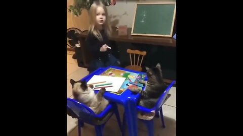 A strict teacher 😸😂🤣