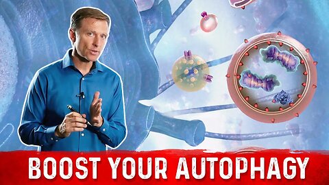 12 Ways to Trigger Autophagy