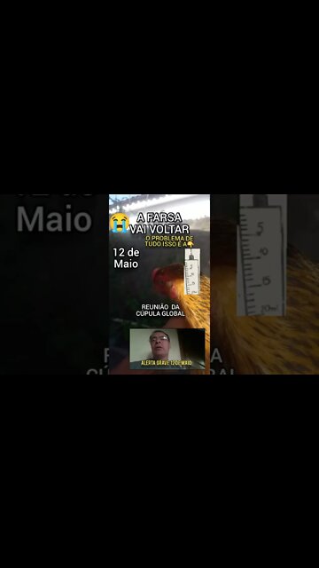 A Galinha dos Olhos Azuis está com Medo dia 12 DE MAIO.