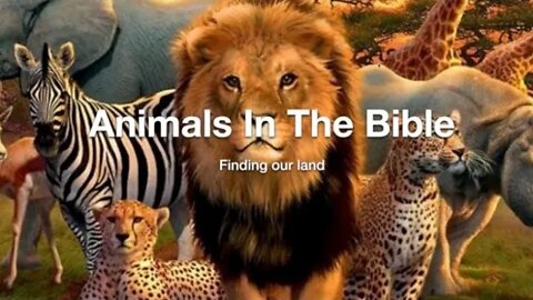 Animals In The Bible - Finding Our Land