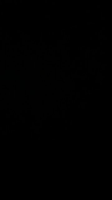 Roast beaver tenderloin