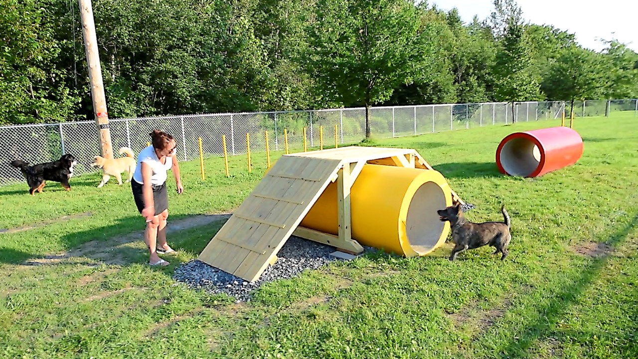 Inauguration parc canin St-Georges