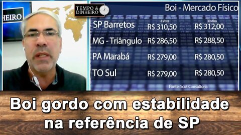 Boi gordo com estabilidade na referência de SP. Demanda interna pressiona